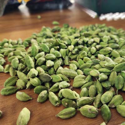 Green Cardamom